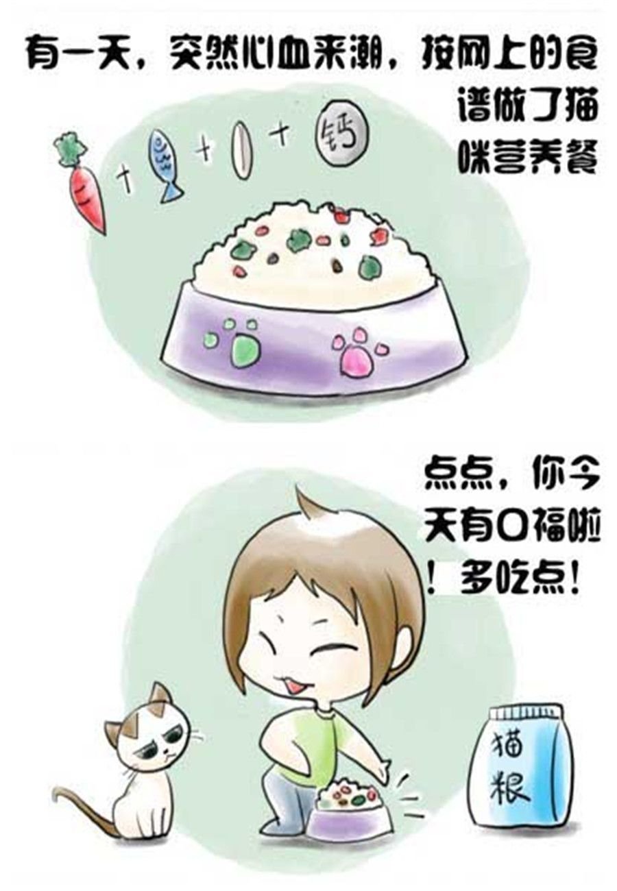 喵喵家族 第4集