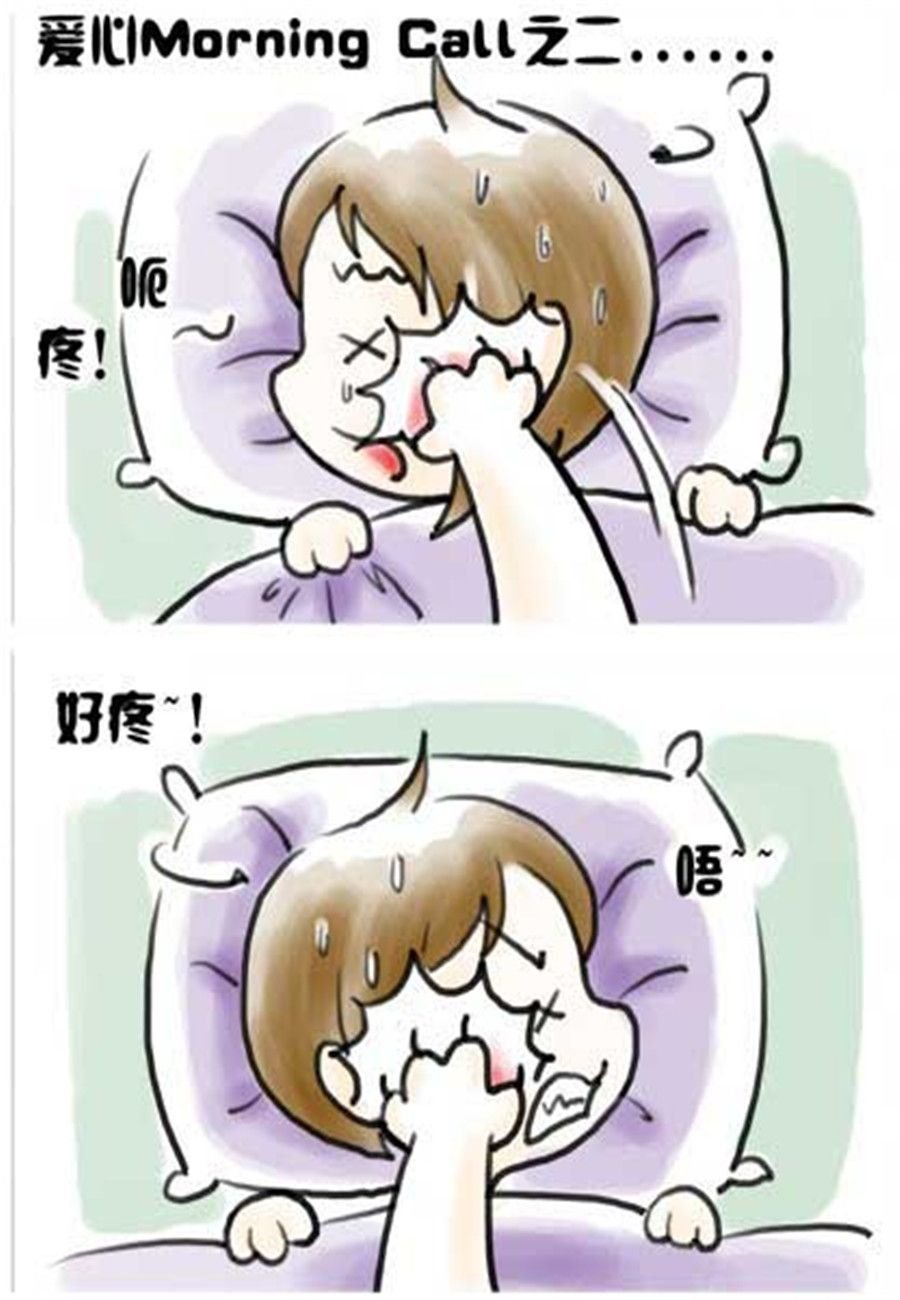 喵喵家族 第5集