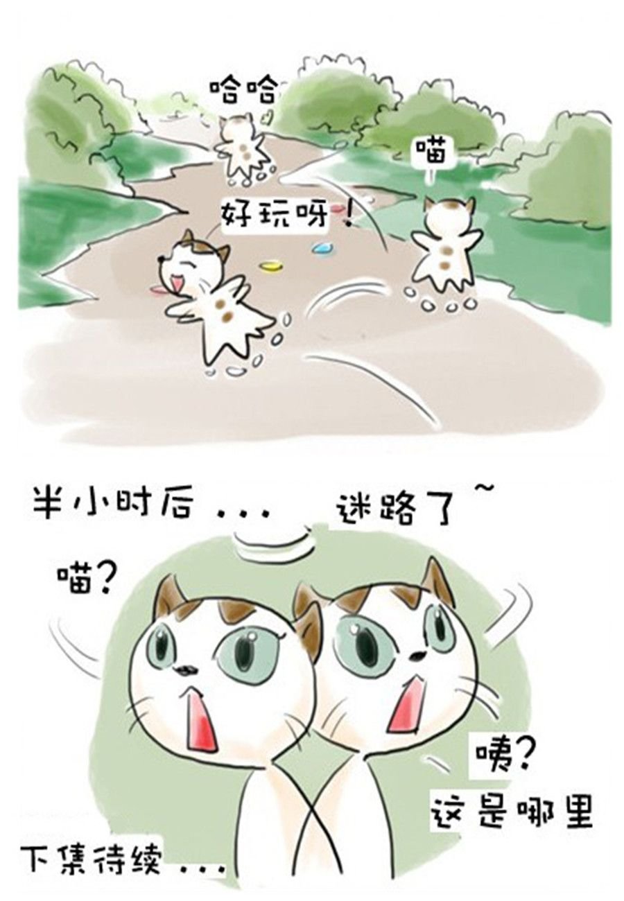 喵喵家族 第7集