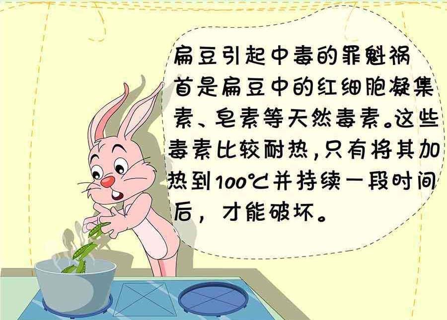 养生宝典 第1集