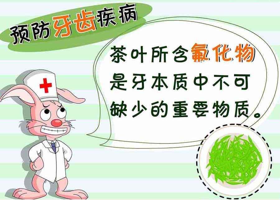 养生宝典 第1集