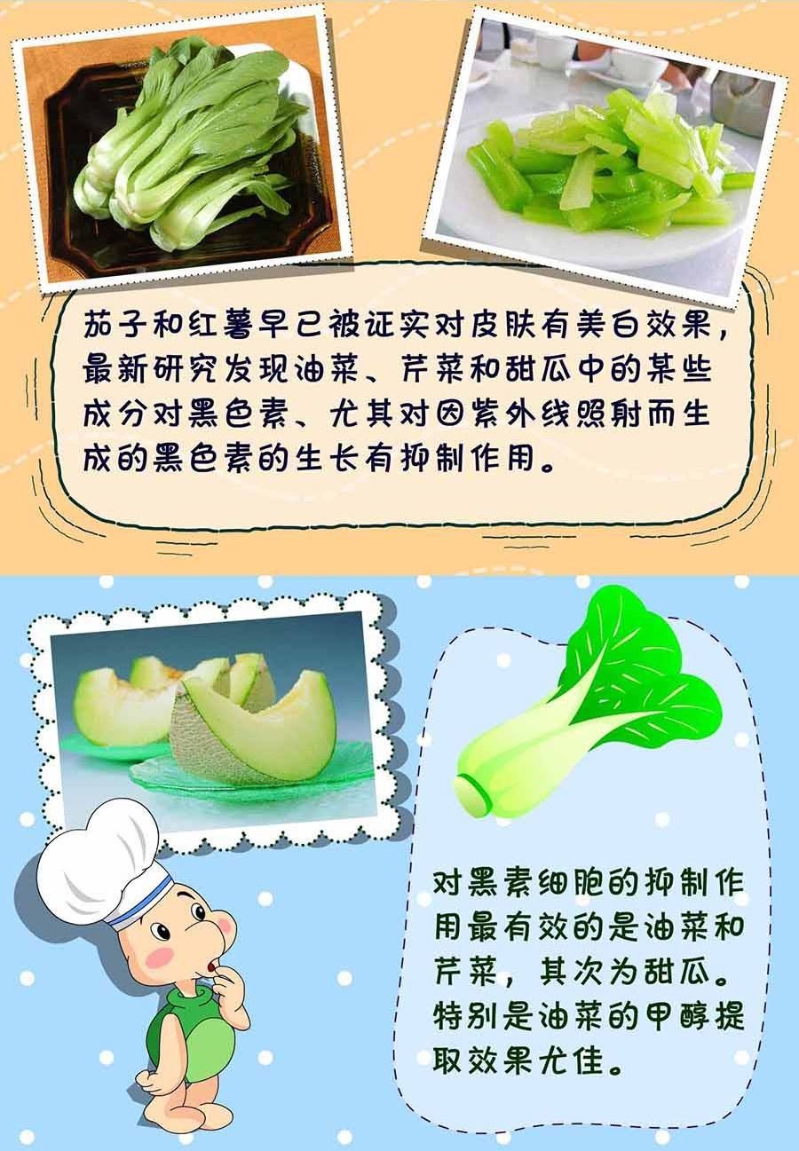 养生宝典 第13集