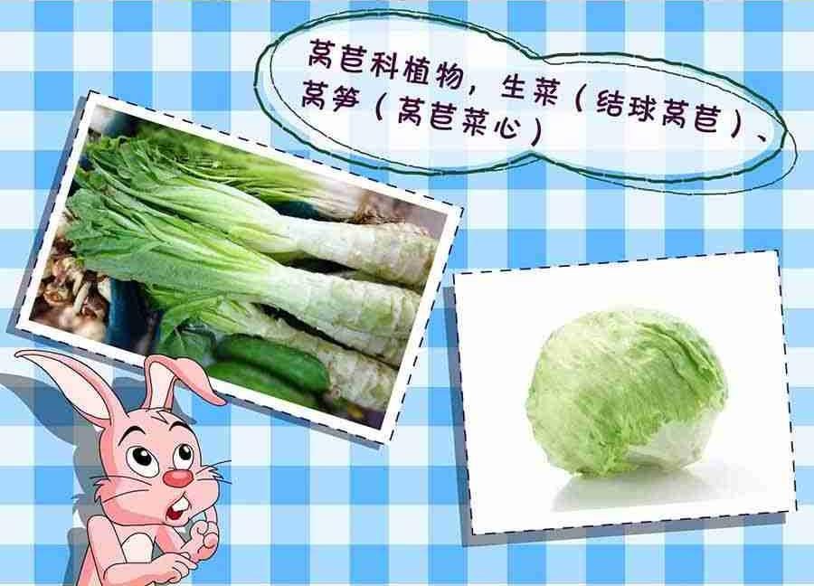 养生宝典 第14集