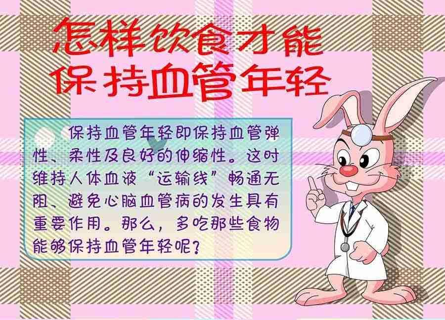 养生宝典 第15集