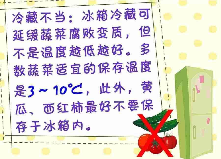 养生宝典 第15集