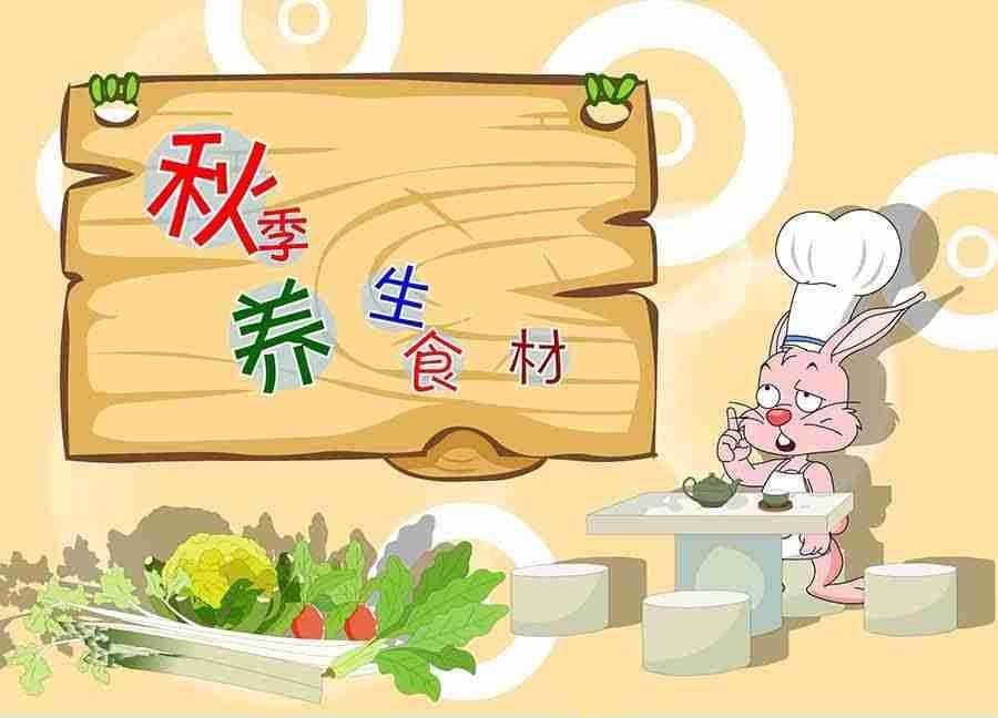 养生宝典 第17集