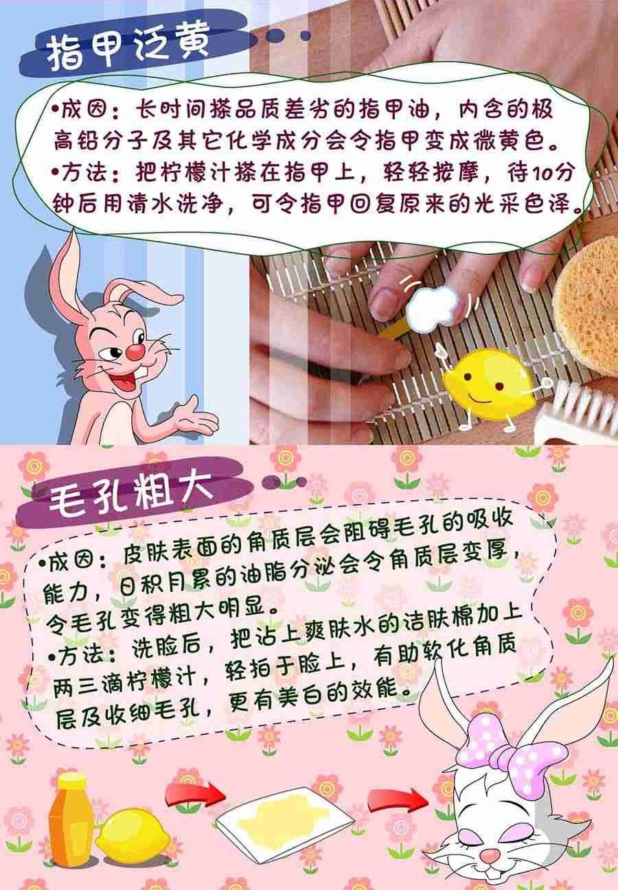 养生宝典 第19集
