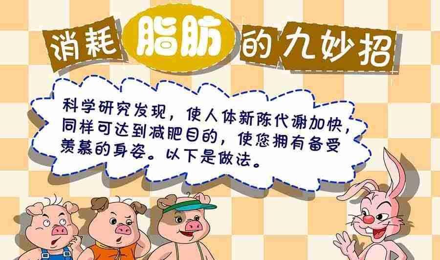 养生宝典 第23集