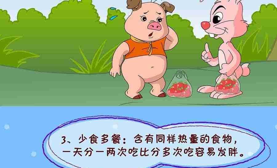 养生宝典 第23集