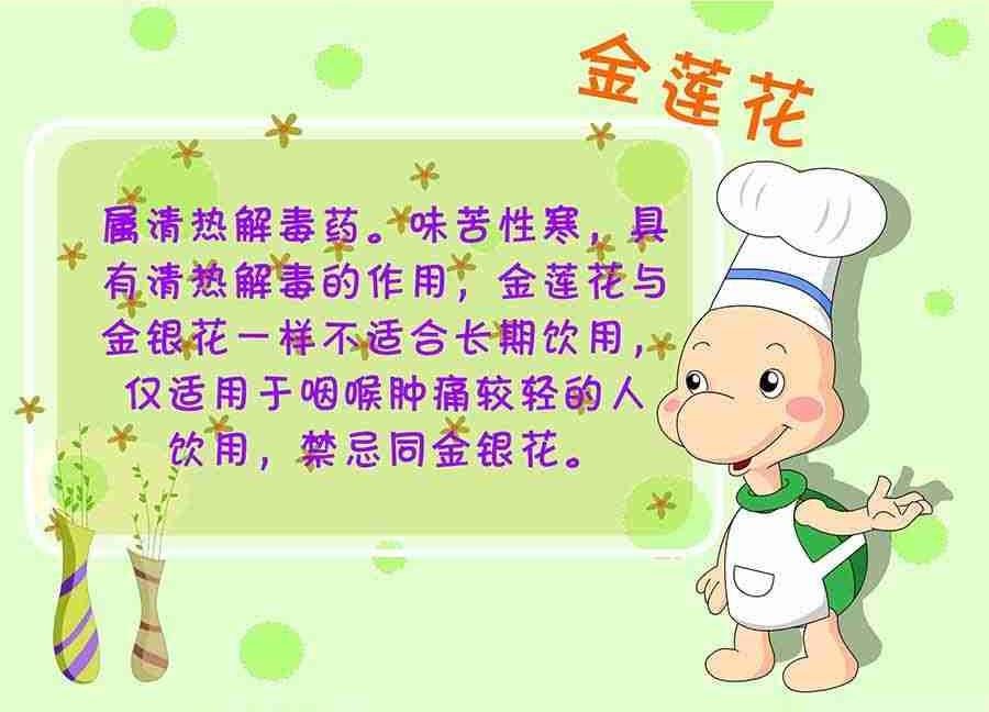 养生宝典 第23集