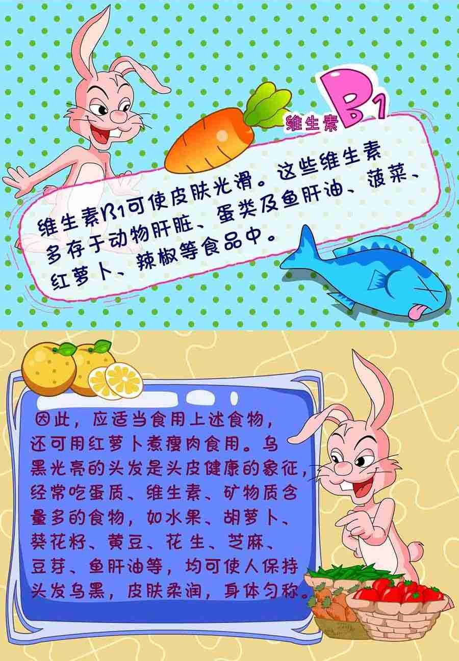 养生宝典 第25集