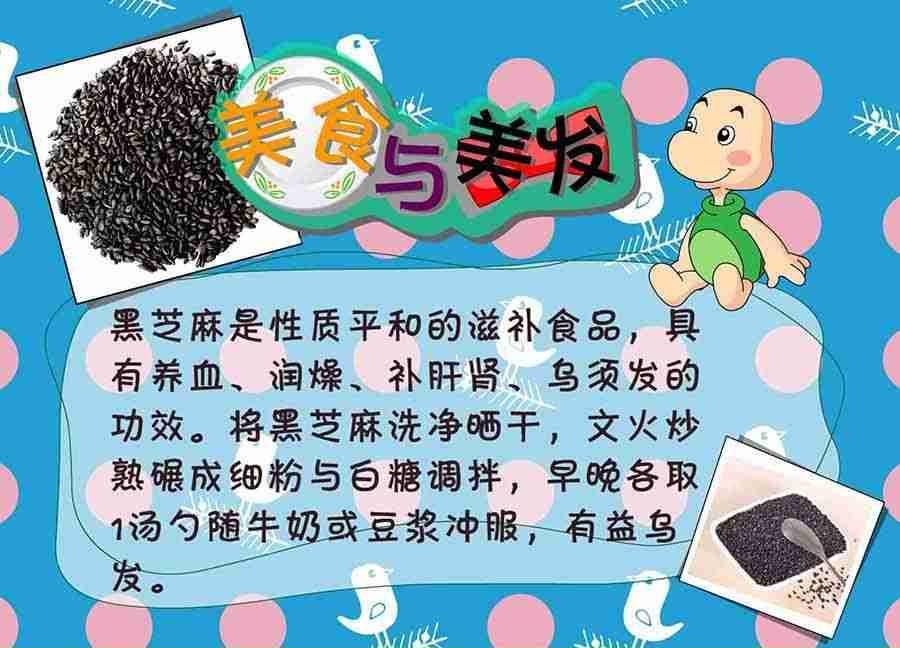 养生宝典 第25集