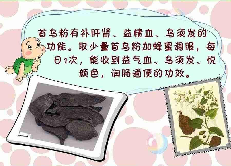 养生宝典 第25集