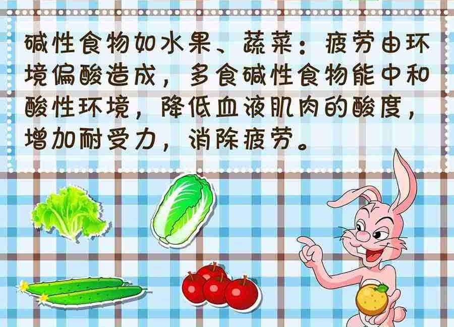 养生宝典 第28集