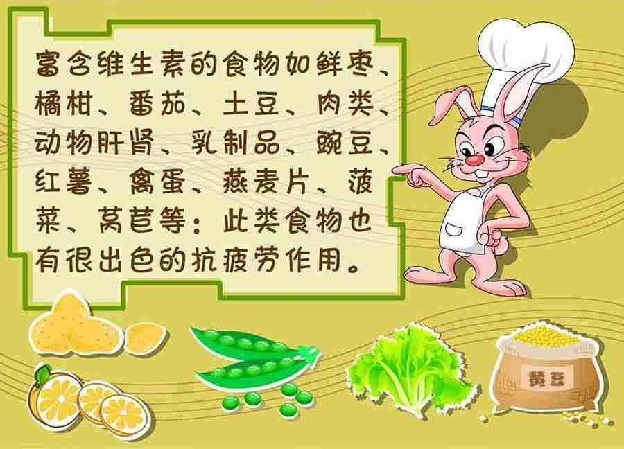 养生宝典 第28集