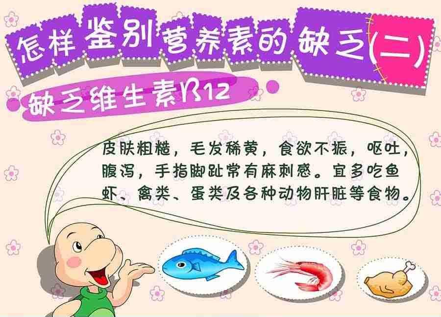 养生宝典 第3集