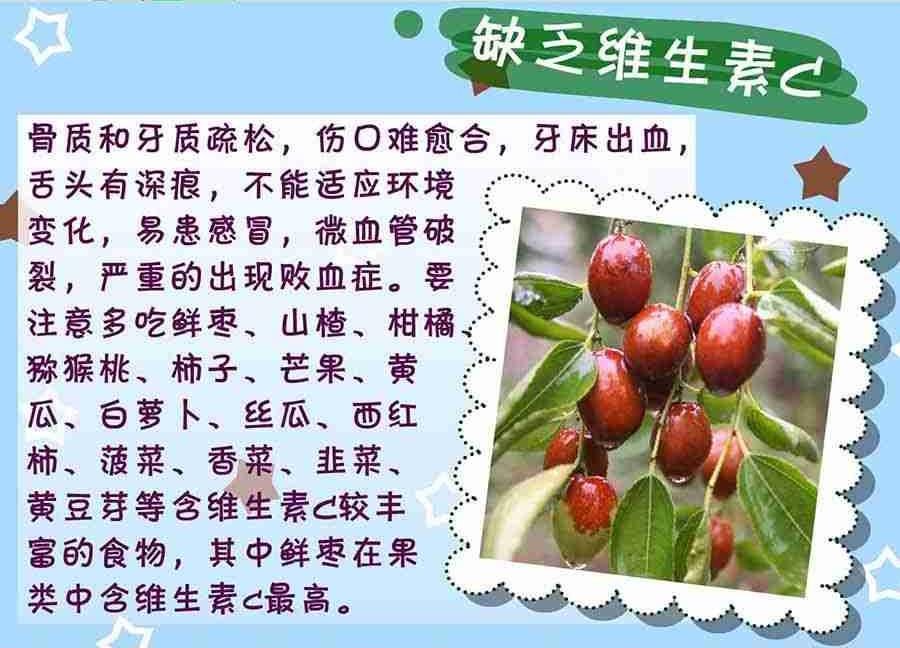 养生宝典 第3集