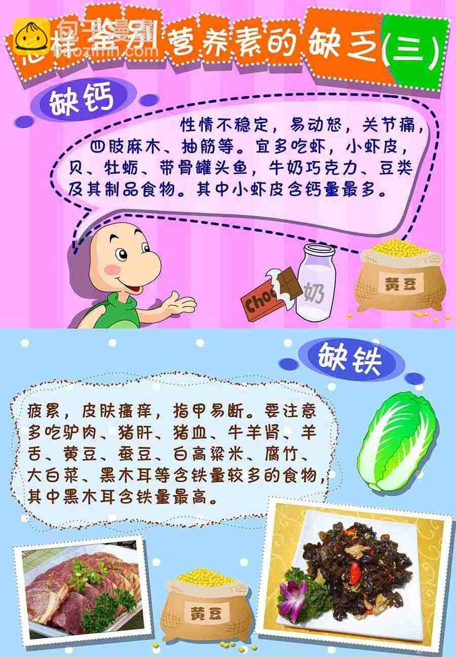 养生宝典 第3集