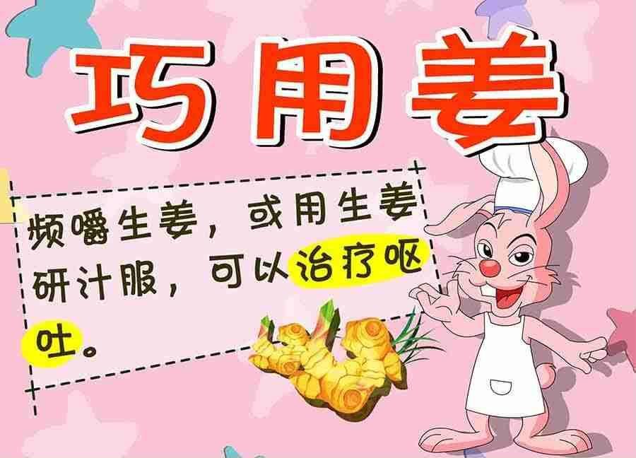 养生宝典 第3集