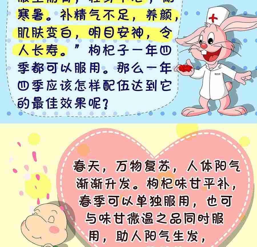养生宝典 第3集