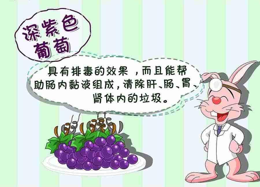 养生宝典 第5集