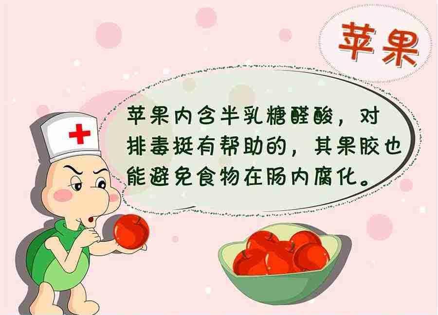 养生宝典 第5集