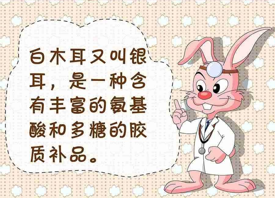 养生宝典 第5集