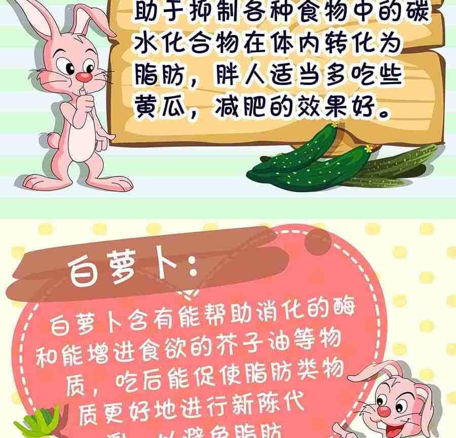 养生宝典 第8集