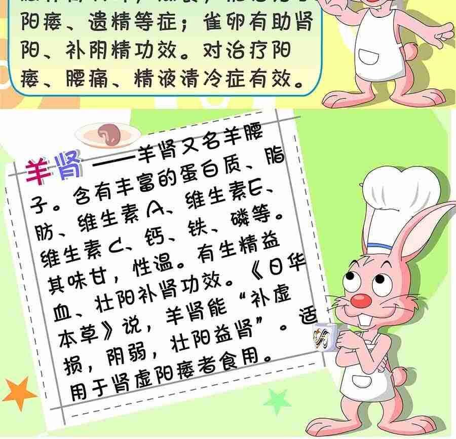 养生宝典 第9集