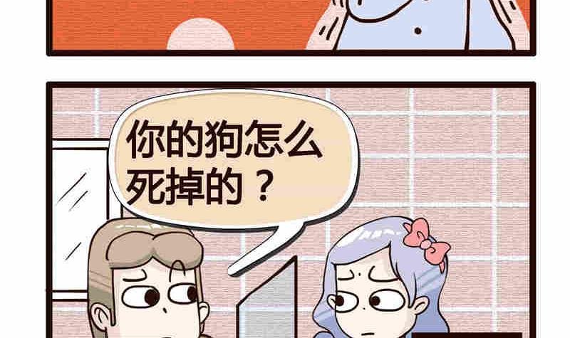 纯洁的逗B办公室 第5集