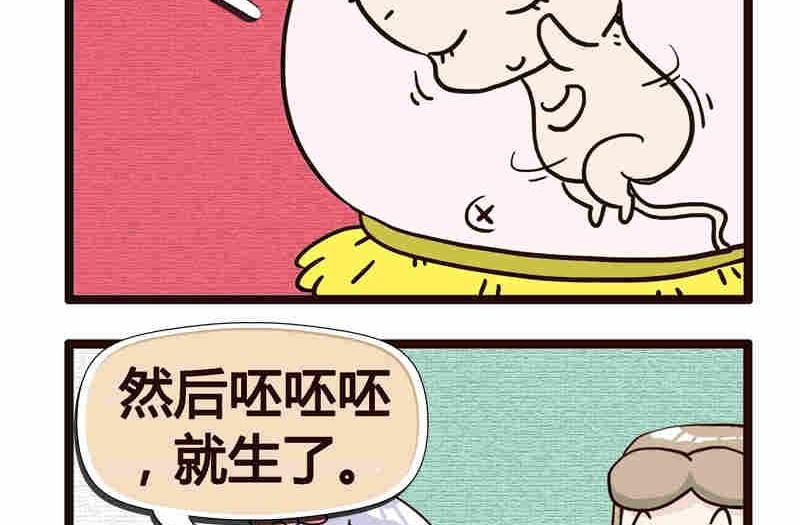 纯洁的逗B办公室 第5集