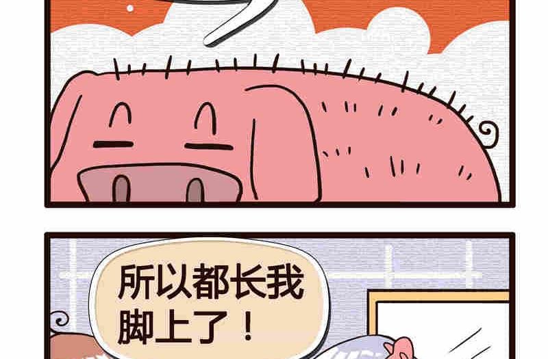 纯洁的逗B办公室 第5集