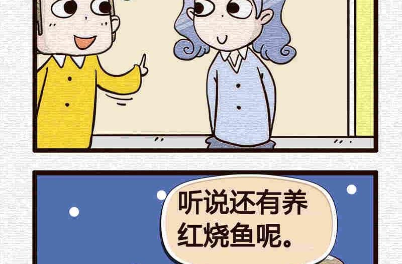 纯洁的逗B办公室 第5集