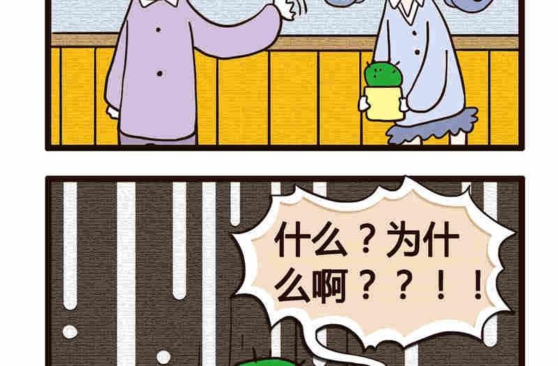 纯洁的逗B办公室 第4集