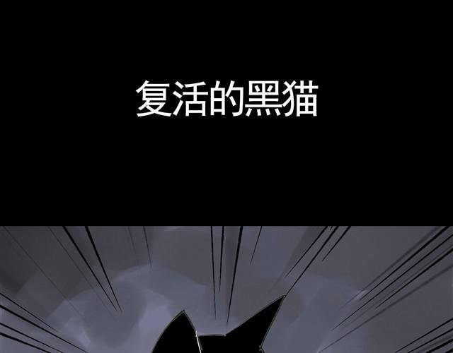 第3话 黑猫居然是个少年