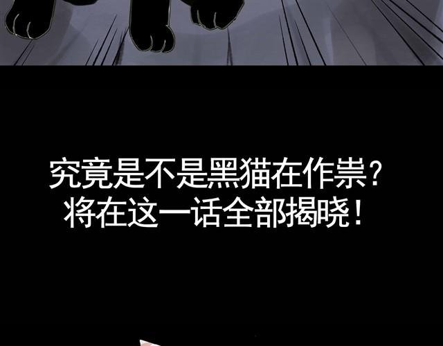 第3话 黑猫居然是个少年