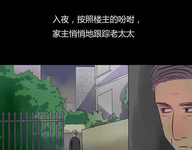 第3话 黑猫居然是个少年