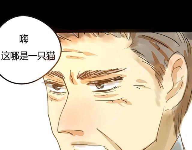 第2话 玄猫