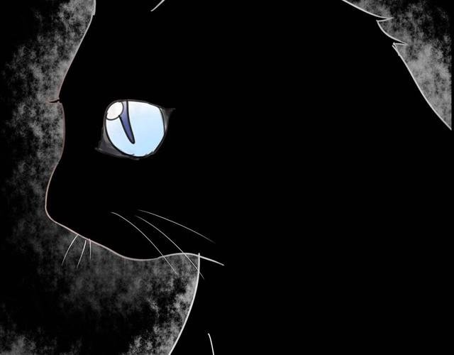 第2话 玄猫