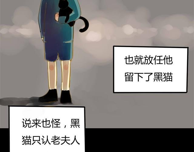 第2话 玄猫
