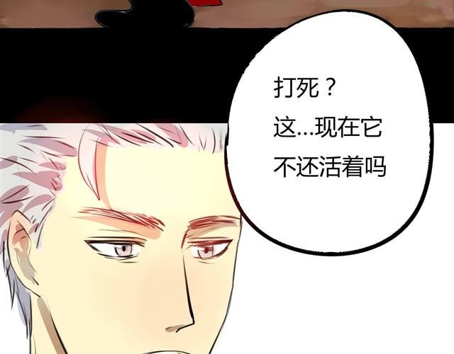 第2话 玄猫