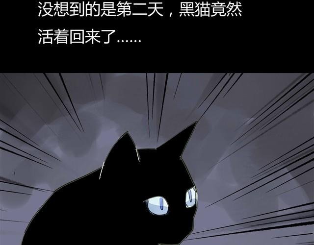 第2话 玄猫