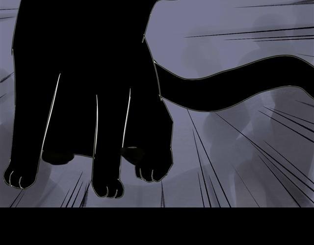 第2话 玄猫
