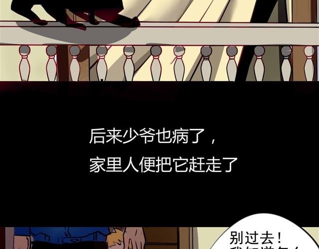 第2话 玄猫