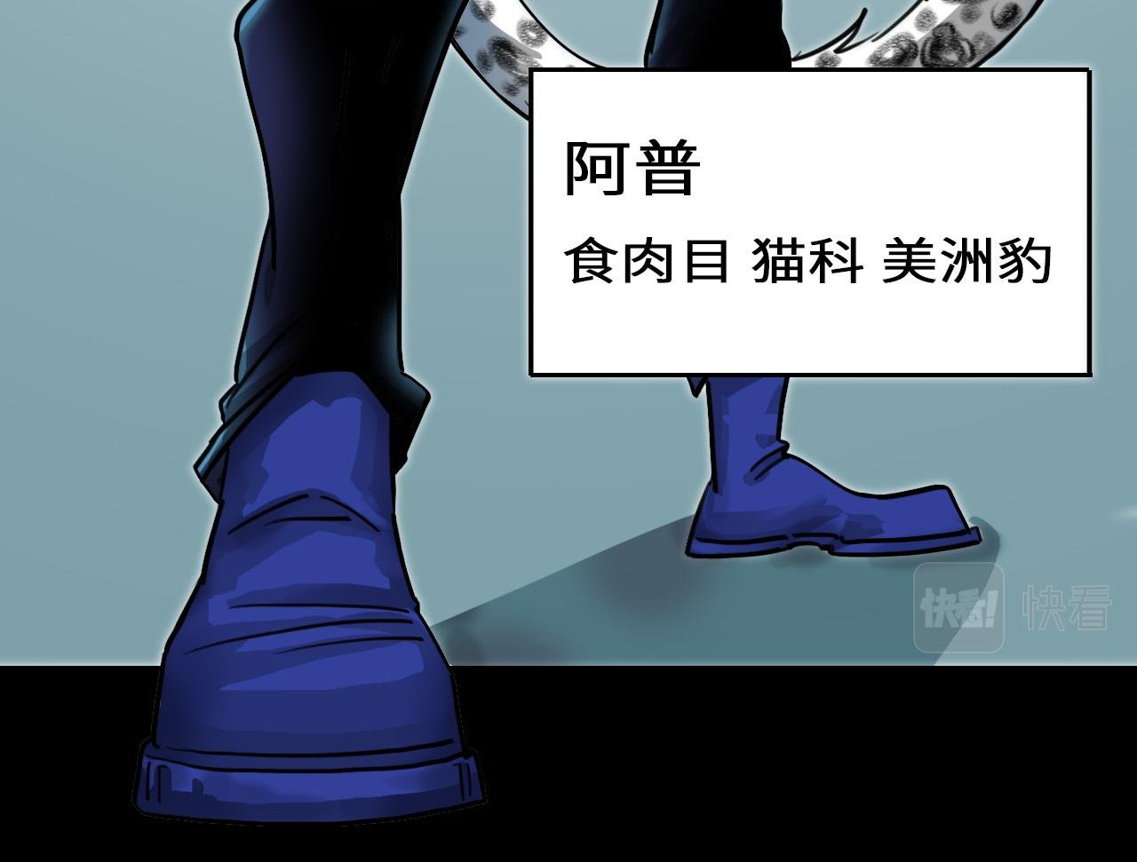 结果已定