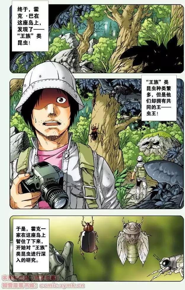 第02回 霍克兄弟