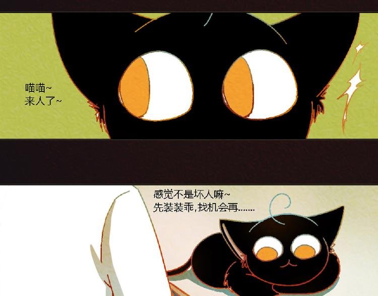 第4话 养猫好痛苦！