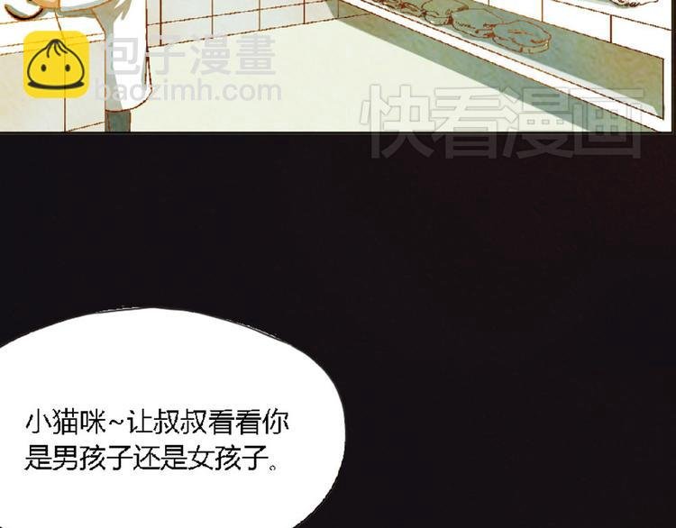 第4话 养猫好痛苦！