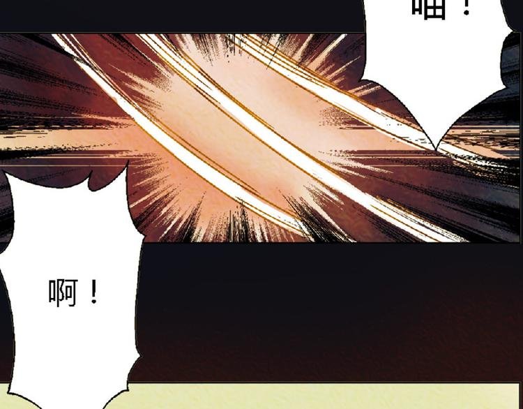 第4话 养猫好痛苦！
