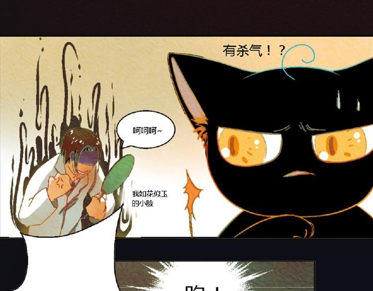 第4话 养猫好痛苦！